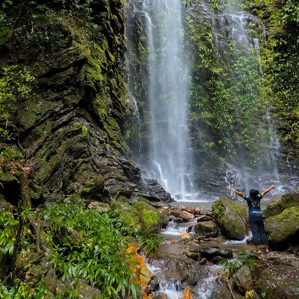 Tour Ciudad Perdida 5 Días